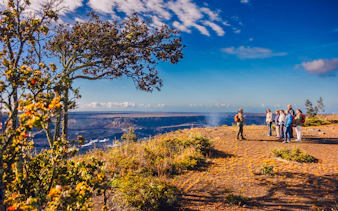 Tour group overlooking volcanic landscape in Hawaii.