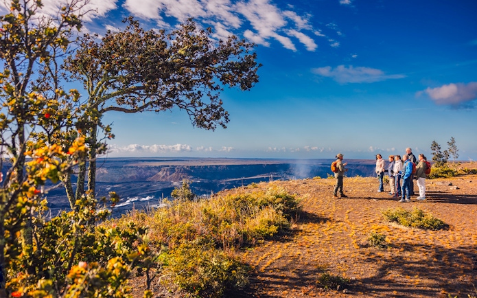 Tour group overlooking volcanic landscape in Hawaii.