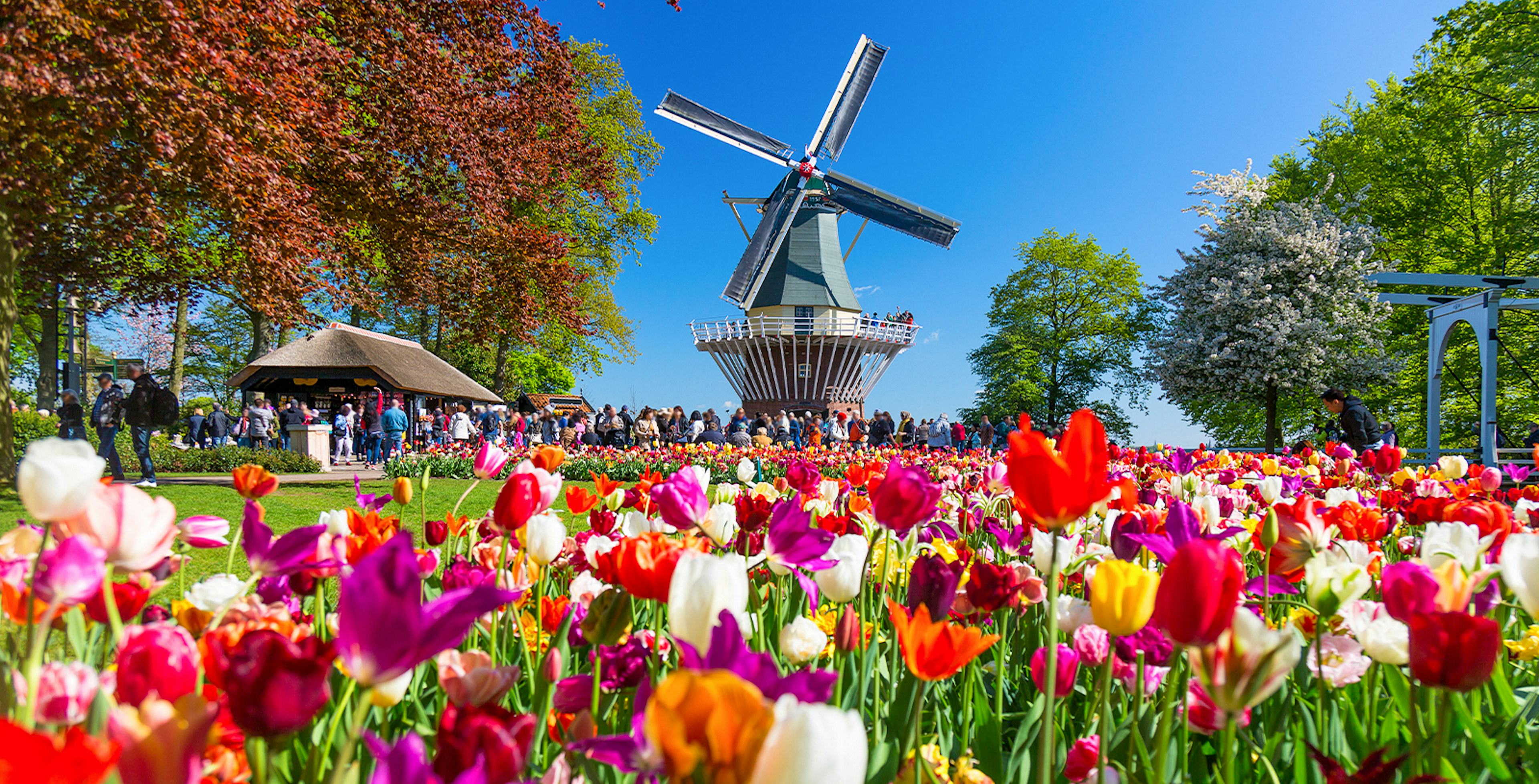 keukenhof tours