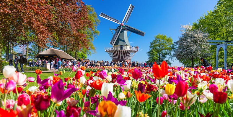 Keukenhof