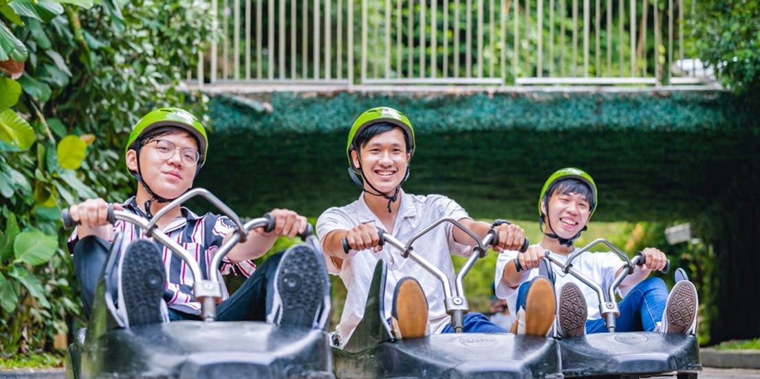 Skyline Luge