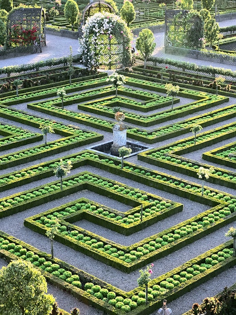 Maze Garden at Château of Villandry with intricate hedges and central fountain.