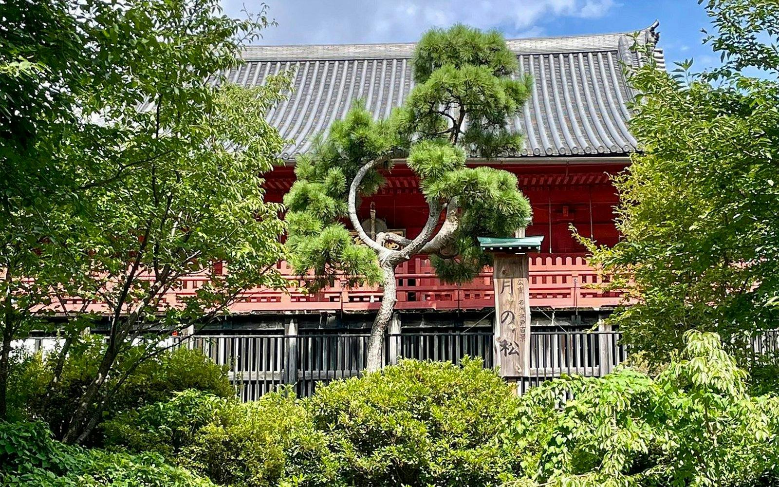 Ueno Park traditional architecture with lush greenery, Tokyo National Museum tour.