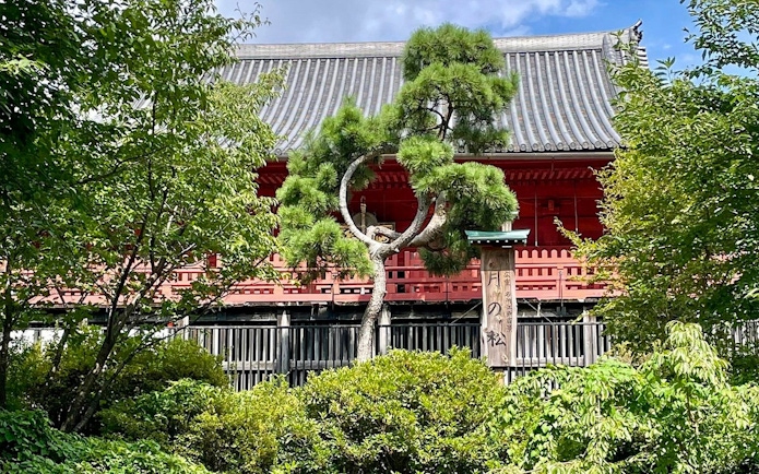 Ueno Park traditional architecture with lush greenery, Tokyo National Museum tour.
