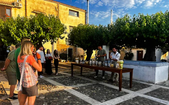 alcamo farm-to-table guided organic wine tasting with 4-course meal-7