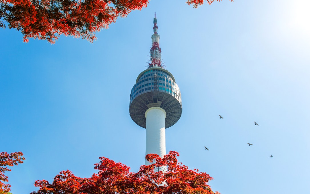 N Seoul Tower with red autumn leaves and birds in the sky.