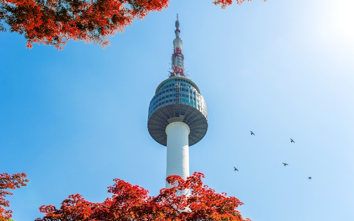 N Seoul Tower with red autumn leaves and birds in the sky.