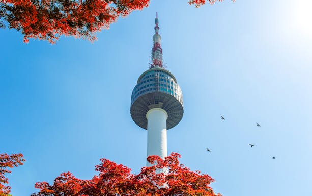 N Seoul Tower with red autumn leaves and birds in the sky.