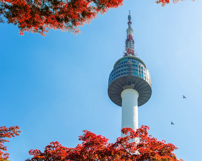 Tickets to N Seoul Tower Observatory