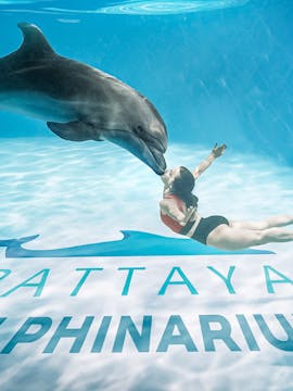 Delphinarium Pattaya