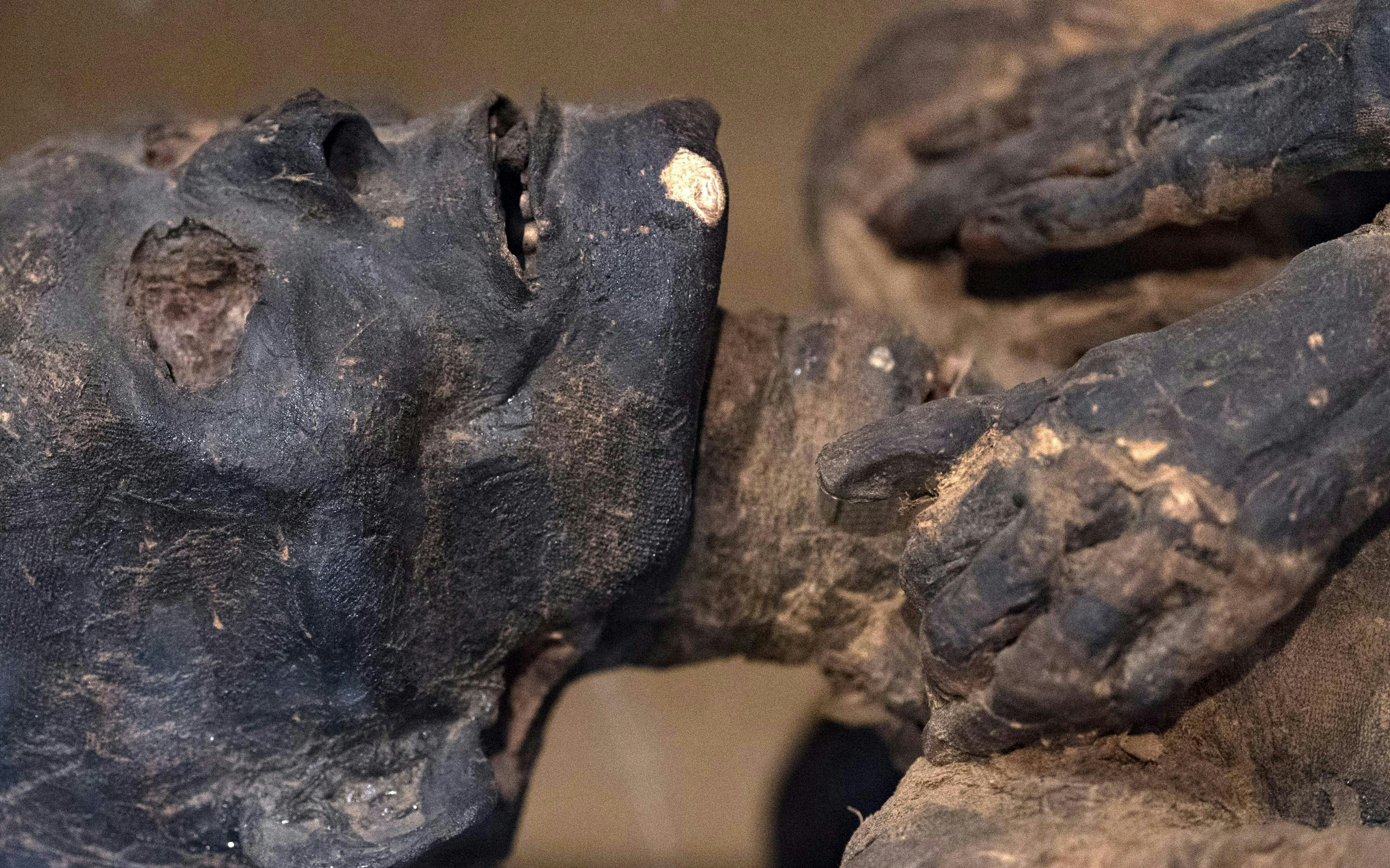 Egyptian mummy head close-up detail showing preserved facial features.