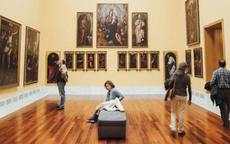 Museum of Fine Arts of Valencia Guided Tour