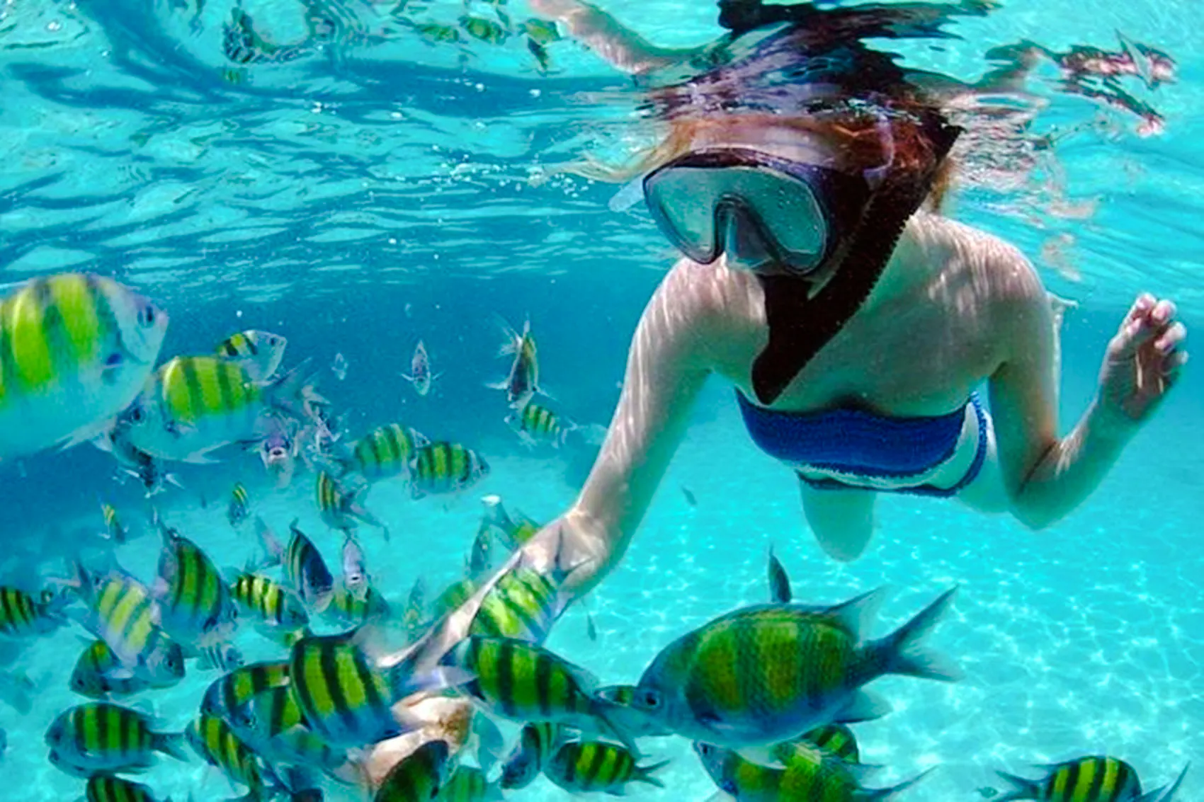 passeio privado de barco pelo parque geoforestal de langkawi kilim, manguezais e ilhas, com mergulho com snorkel-1