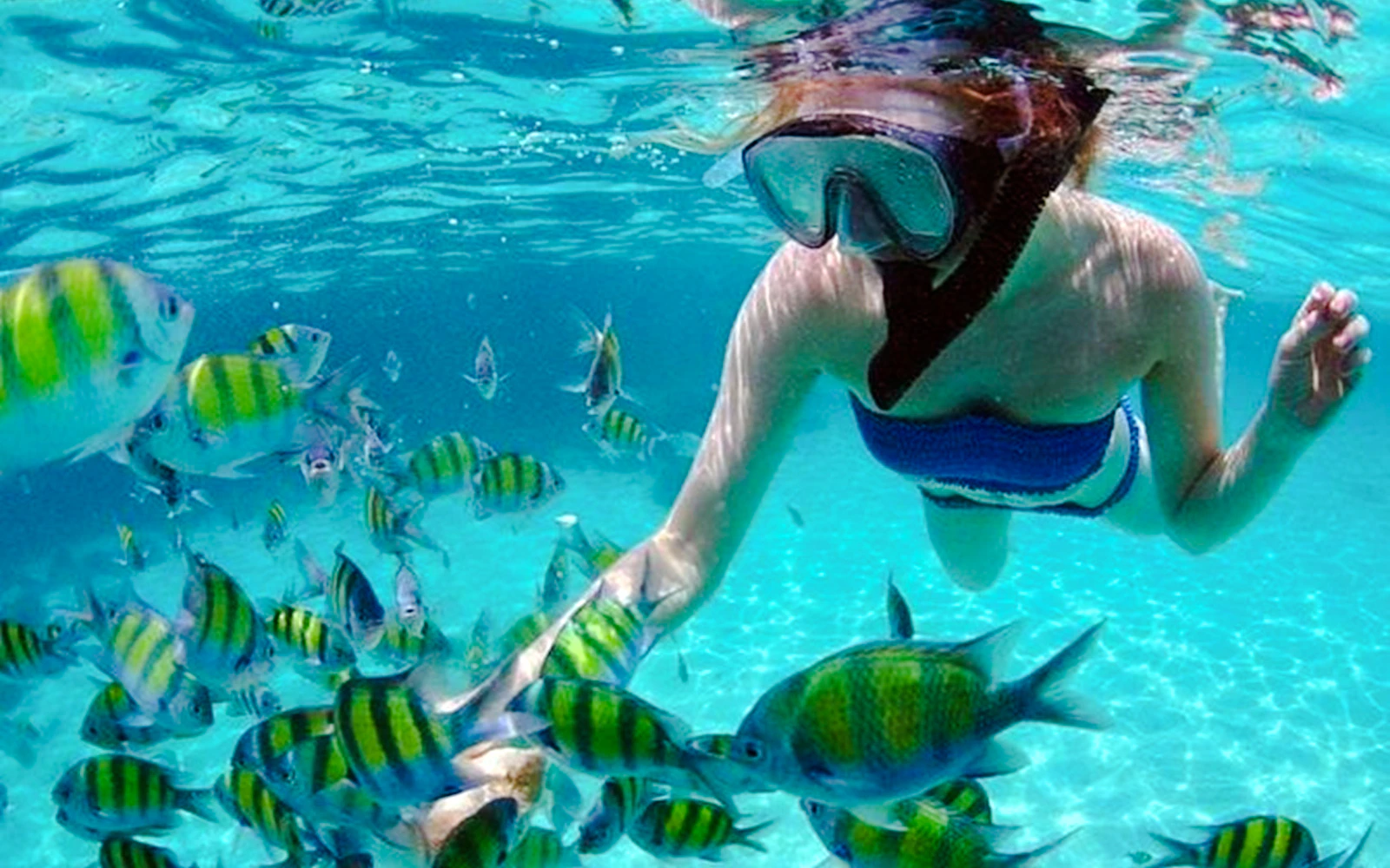Langkawi Kilim Geoforest Park Mangrove & Island-Hopping Private Boat Tour With Snorkeling
