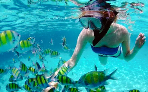 passeio privado de barco pelo parque geoforestal de langkawi kilim, manguezais e ilhas, com mergulho com snorkel-1