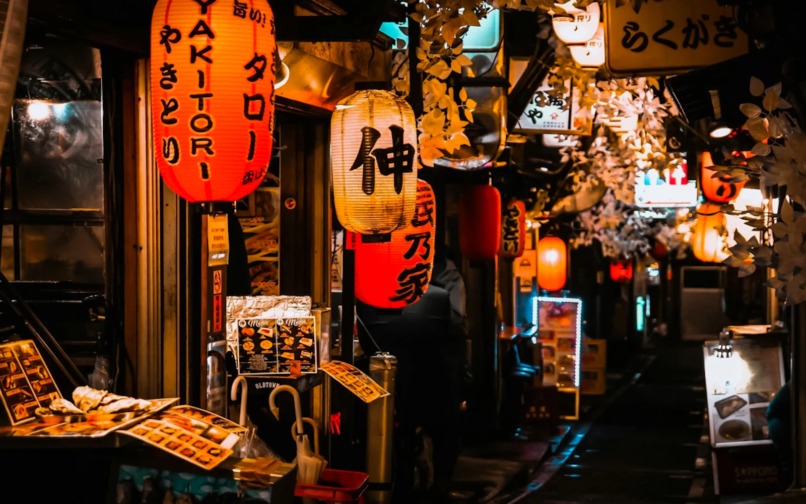 Tokyo Shinjuku Nightlife Walking Tour (Product 55239)