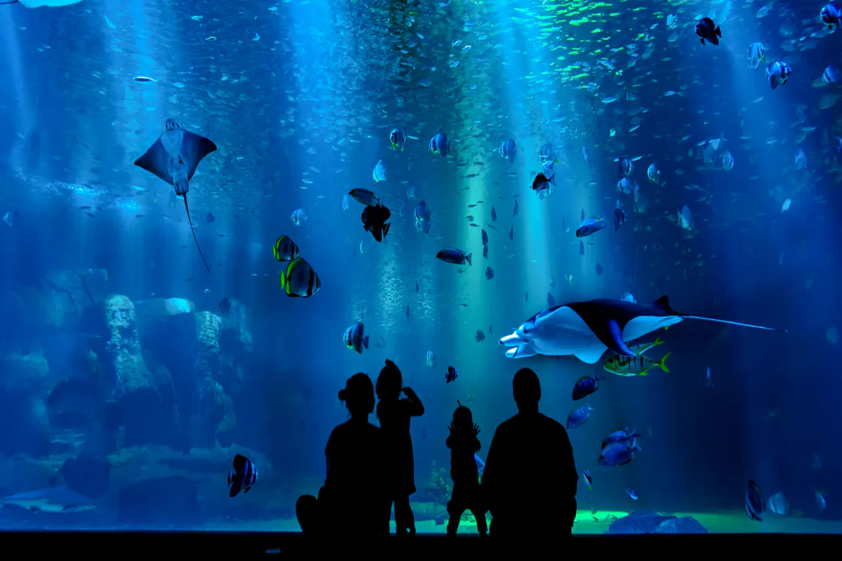 Visitors observing marine life at AquaFoz Aquarium, Foz do Iguaçu.