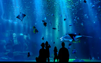 Visitors observing marine life at AquaFoz Aquarium, Foz do Iguaçu.