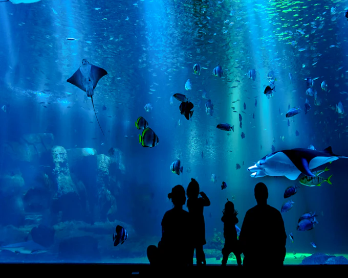 Iguazu Falls Brazilian Side Guided Tour with AquaFoz Aquarium and Transfers (Product 55801)