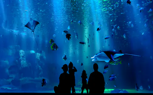 Visitors observing marine life at AquaFoz Aquarium, Foz do Iguaçu.