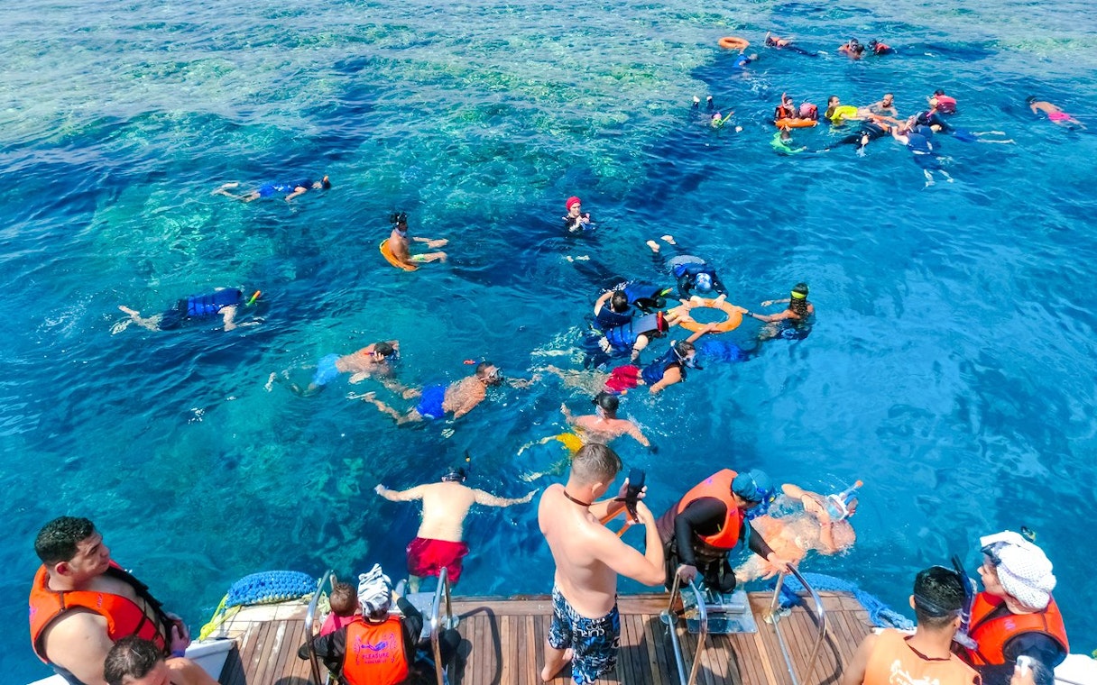 Snorkelers in the Red Sea during Dolphin Watching Boat Tour, Hurghada.