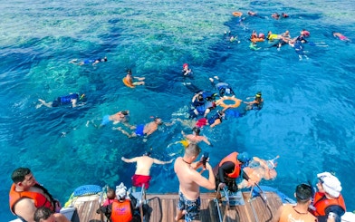 Snorkelers in the Red Sea during Dolphin Watching Boat Tour, Hurghada.