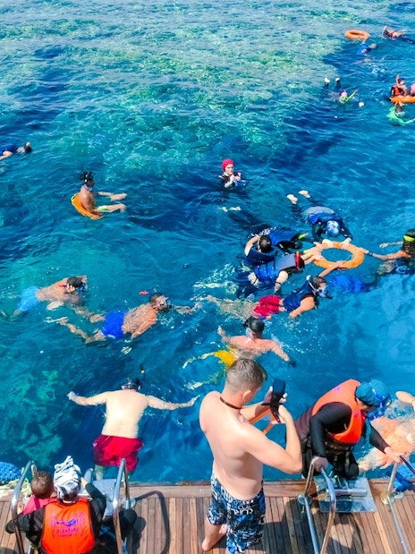 Snorkelers in the Red Sea during Dolphin Watching Boat Tour, Hurghada.