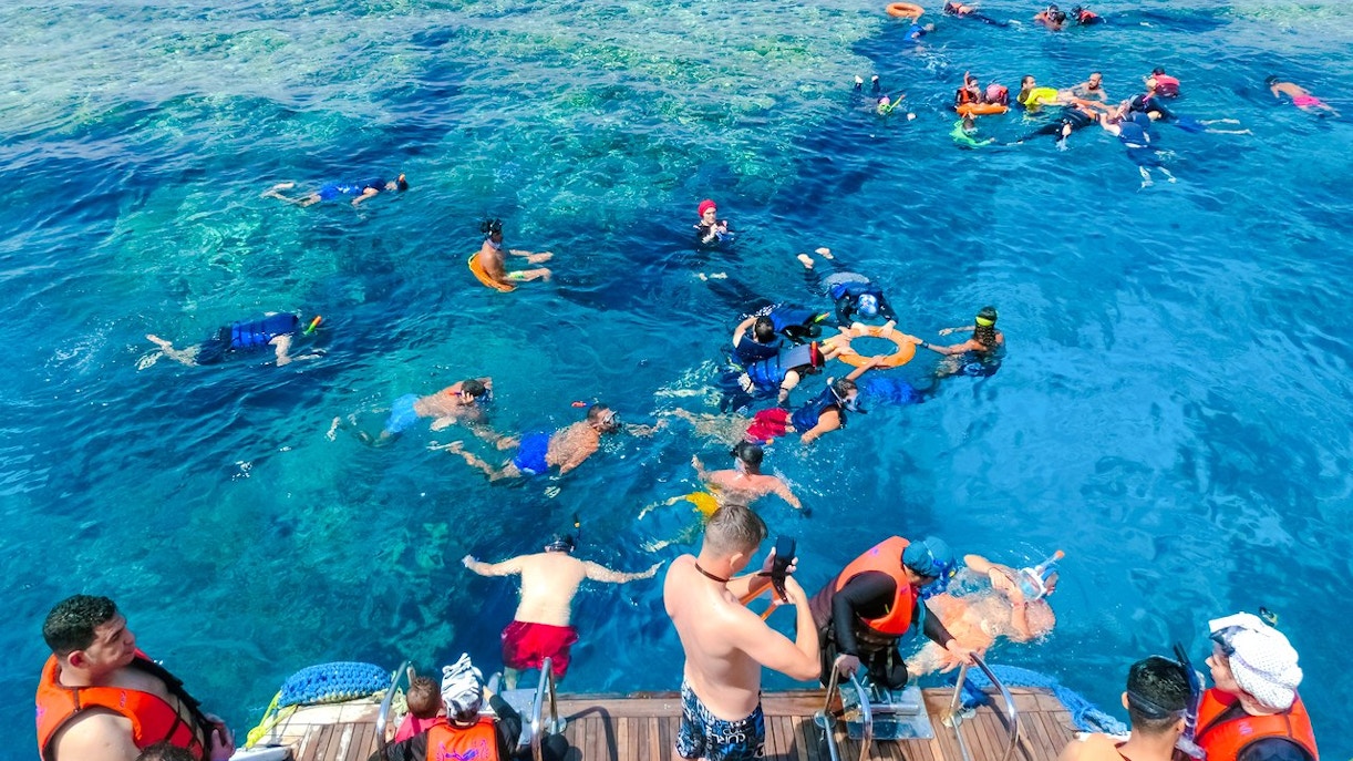 Snorkelers in the Red Sea during Dolphin Watching Boat Tour, Hurghada.