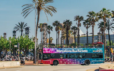 Barcelona Bus Turistic passing palm trees on a sunny day.