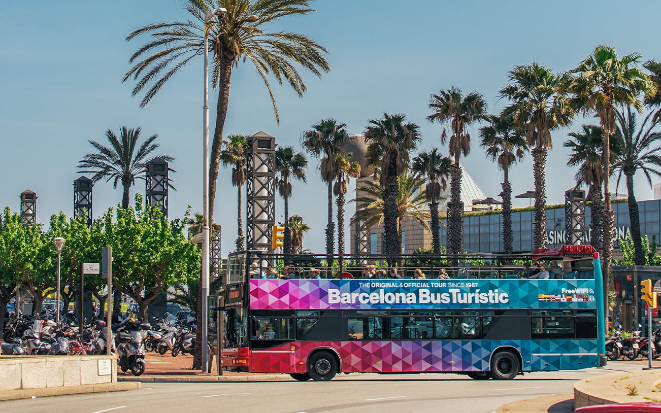 Barcelona Bus Turistic passing palm trees on a sunny day.
