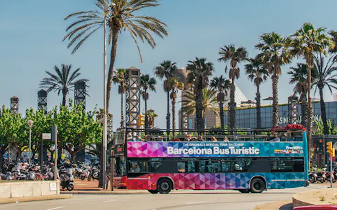 Barcelona Bus Turistic passing palm trees on a sunny day.