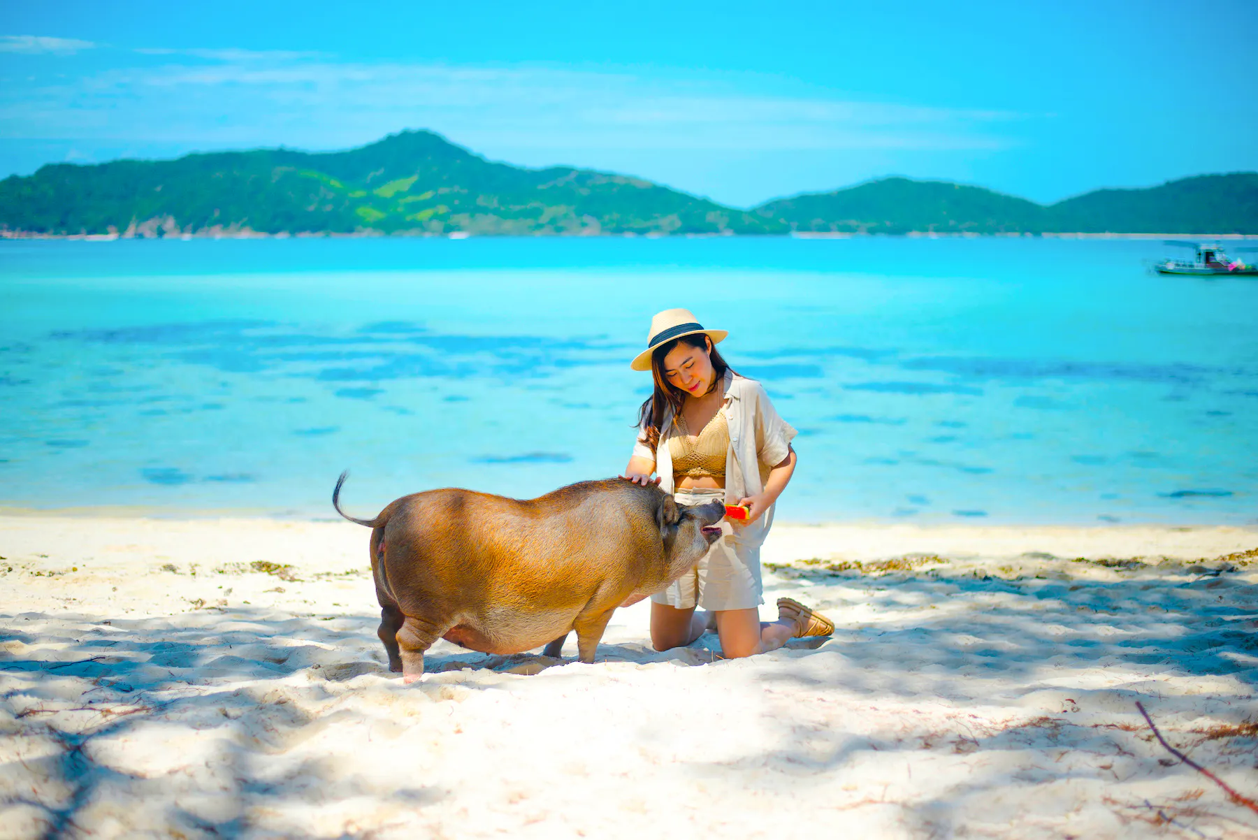 Koh Samui: Private Longtail Boat Tour to Pig Island With Snorkeling