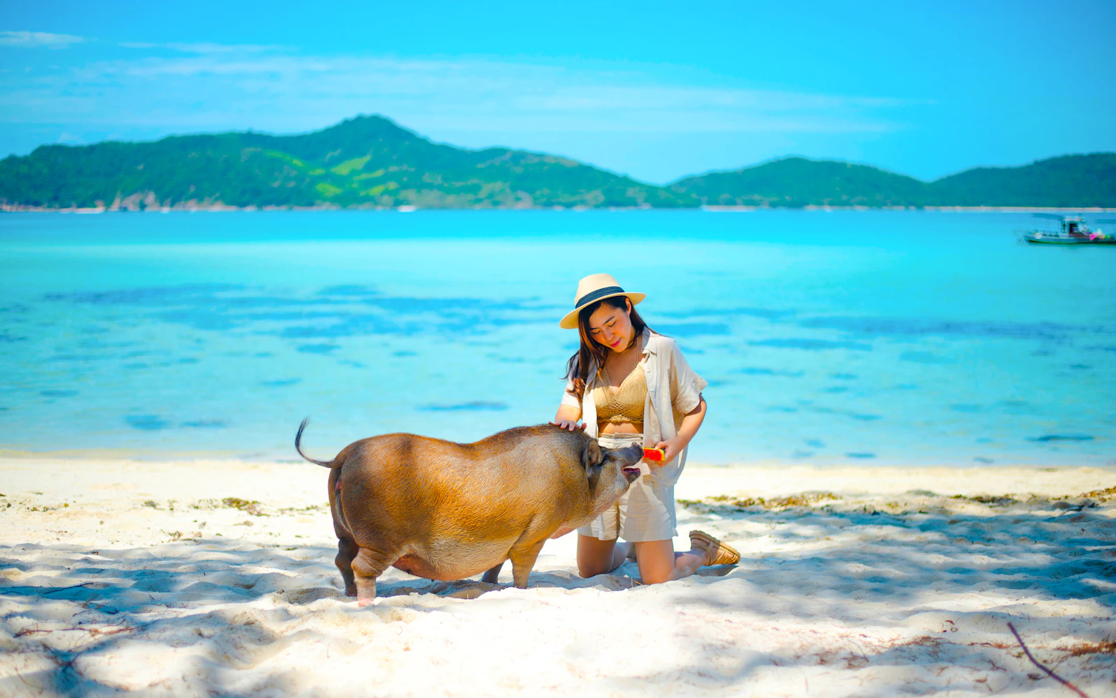 Koh Samui: Private Longtail Boat Tour to Pig Island With Snorkeling (Product 56558)