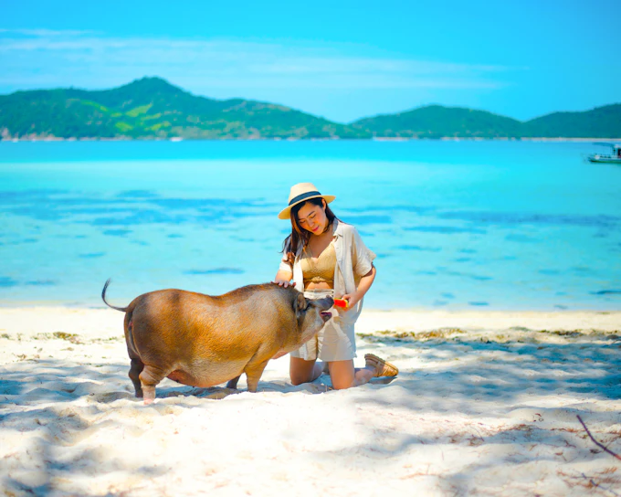 Koh Samui: Private Longtail Boat Tour to Pig Island With Snorkeling (Product 56558)