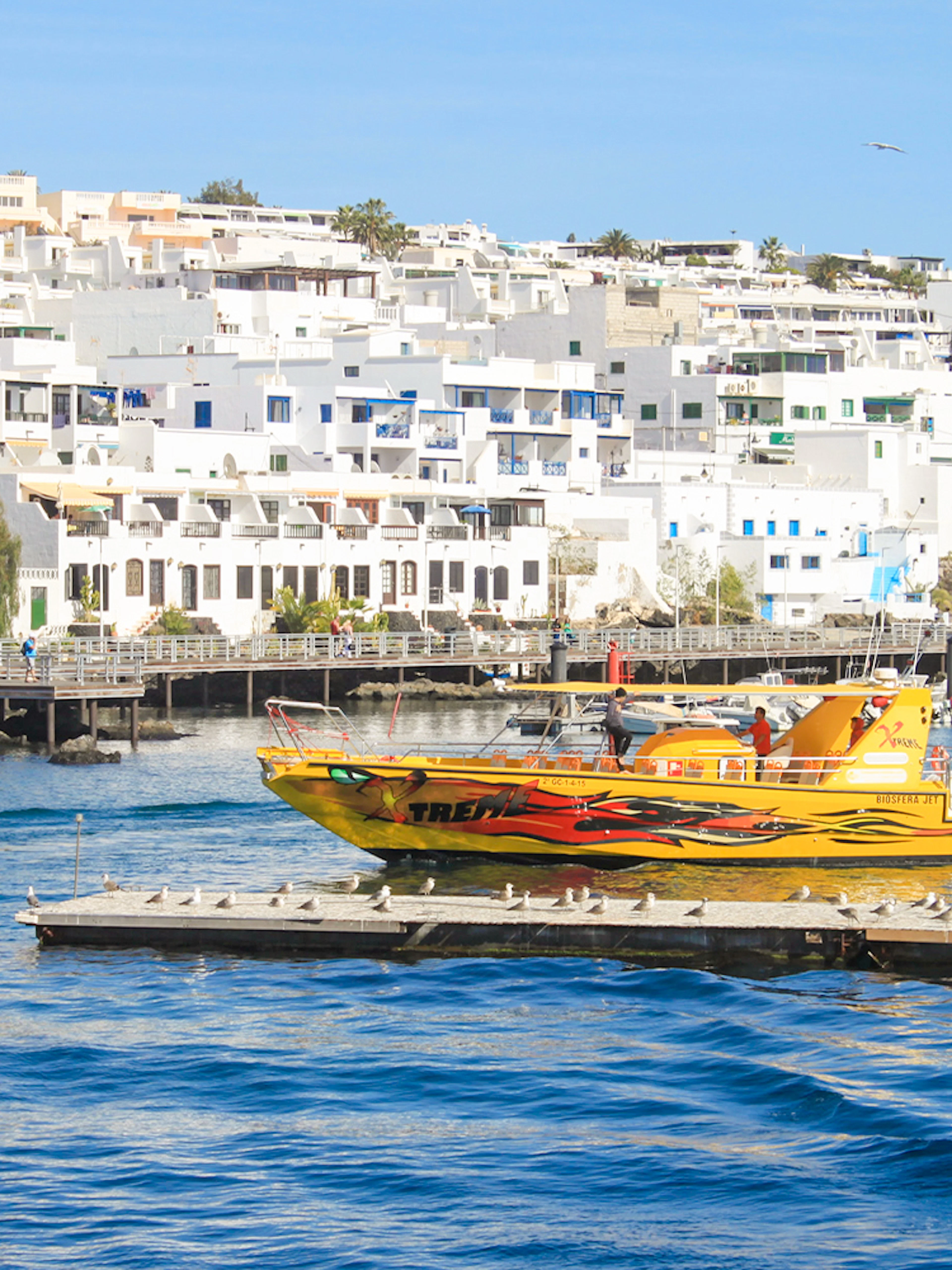 Tourist boat departing from Lanzarote port for dolphin watching.