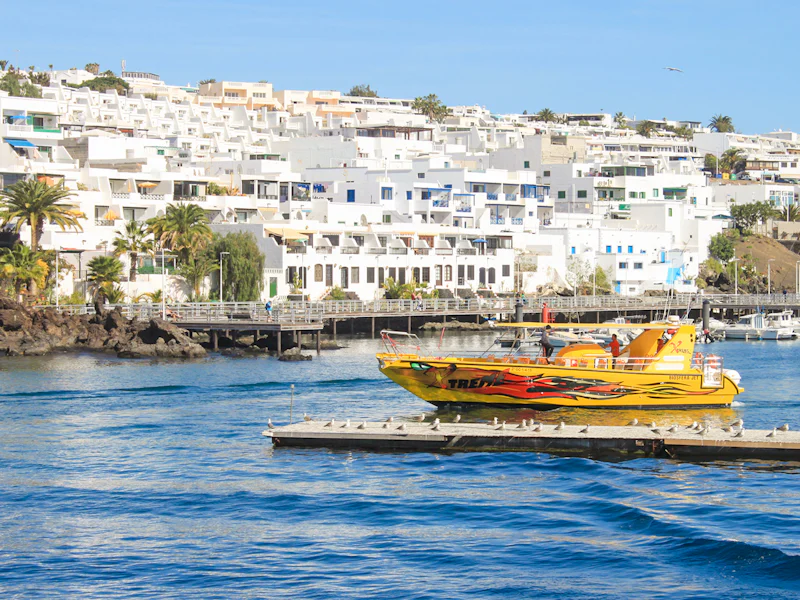 Speedboat Whale And Dolphin Watching Cruise With Sunset And Transfers - Lanzarote