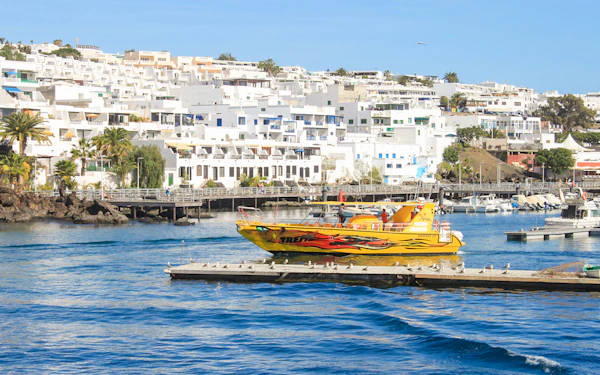 Speedboat Whale & Dolphin Watching Cruise with Sunset & Transfers