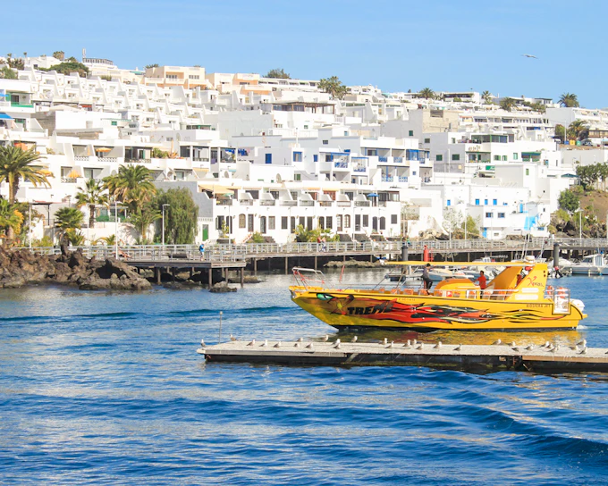 Speedboat Whale & Dolphin Watching Cruise with Sunset & Transfers