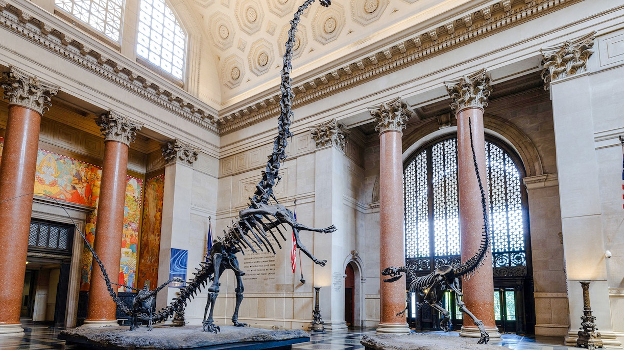 Theodore Roosevelt statue in American Museum of Natural History's Memorial Hall, New York City.