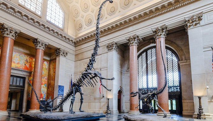 Theodore Roosevelt statue in American Museum of Natural History's Memorial Hall, New York City.