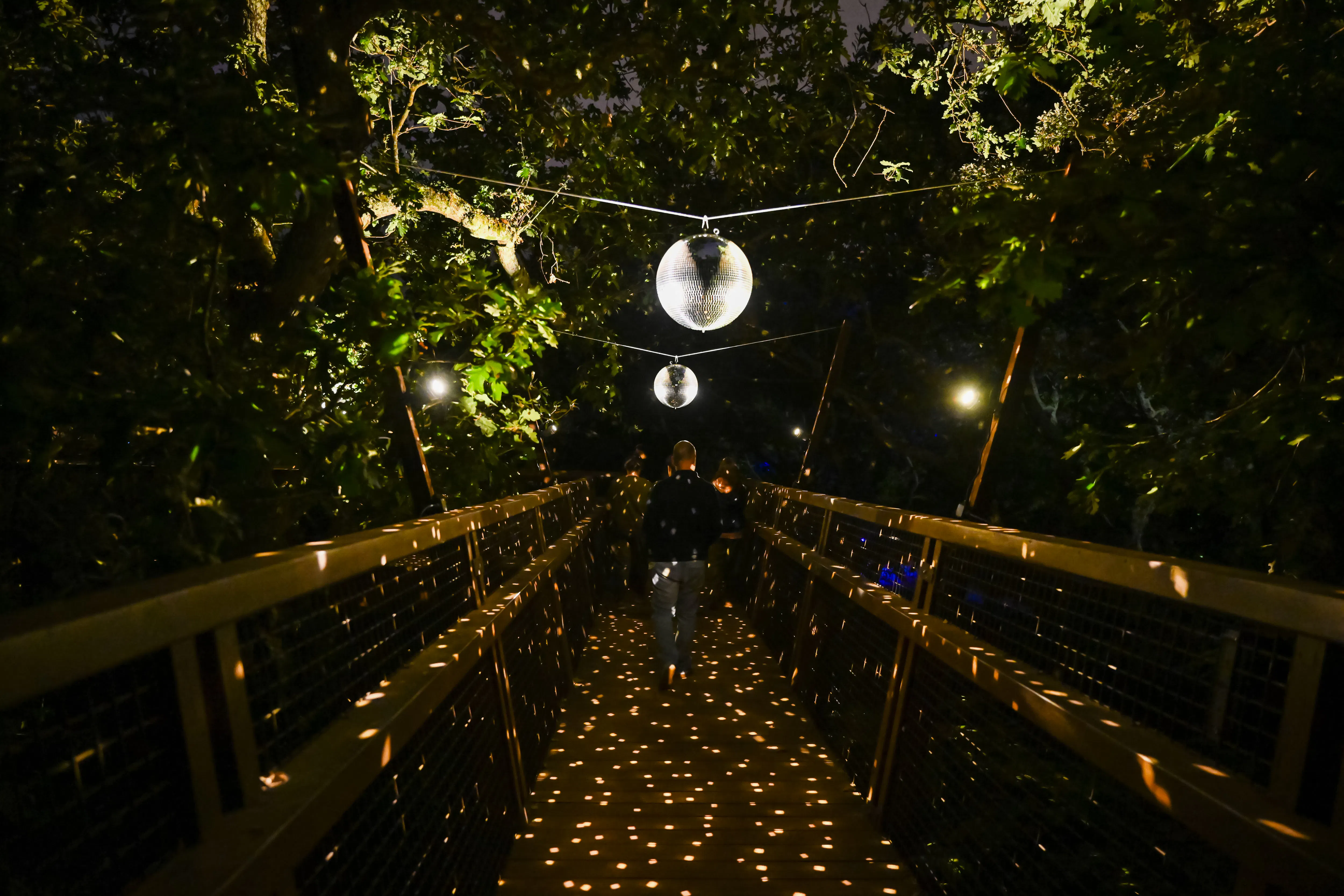 billetter til «serralves in light 2026»-14