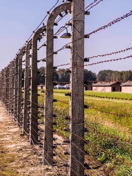 Barbed wire fence at Auschwitz-Birkenau concentration camp, Poland, with guard tower in background.