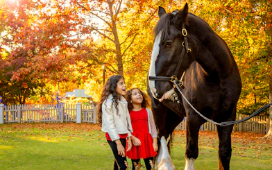 Children interacting with a horse at Busch Gardens Williamsburg in autumn.