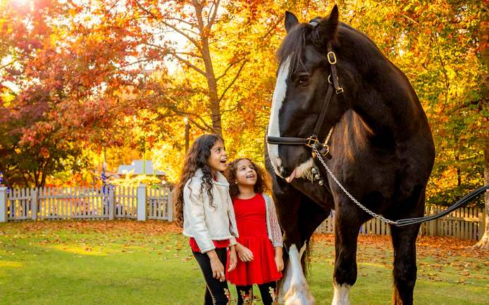 Children interacting with a horse at Busch Gardens Williamsburg in autumn.