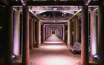 „serralves in light 2026“ – tickets-9