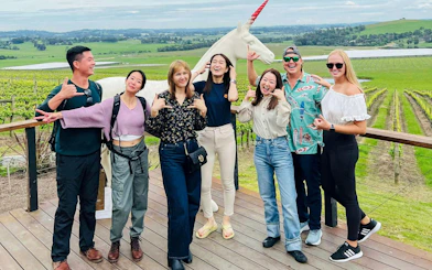 Group enjoying Yarra Valley Wine Tour with vineyard backdrop.