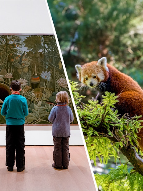 Visitors viewing art at MoMA and a red panda at Central Park Zoo, New York.