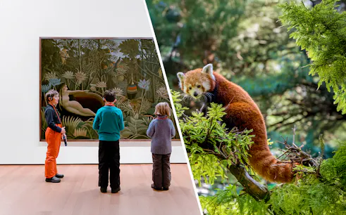 Visitors viewing art at MoMA and a red panda at Central Park Zoo, New York.