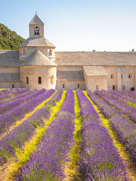 Lavender fields in bloom with a historic stone abbey in Provence, France.