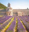 Abbazia di Senanque